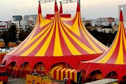 photo de cirque